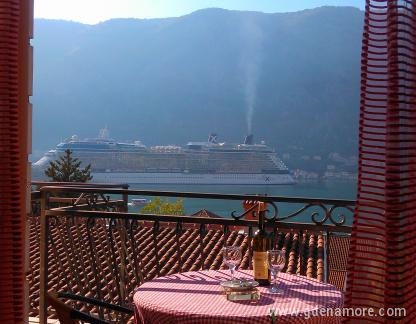Vukotic Apartmani, private accommodation in city Kotor, Montenegro - Pogled Iz Apartmana