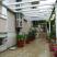 Apartments Maslina-Savina, private accommodation in city Herceg Novi, Montenegro