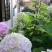 Guest House Igalo, alloggi privati a Igalo, Montenegro - Dvoriste / Yard