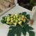 Guest House Igalo, alloggi privati a Igalo, Montenegro - Smokve