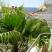 Apartments Maslina-Savina, , private accommodation in city Herceg Novi, Montenegro